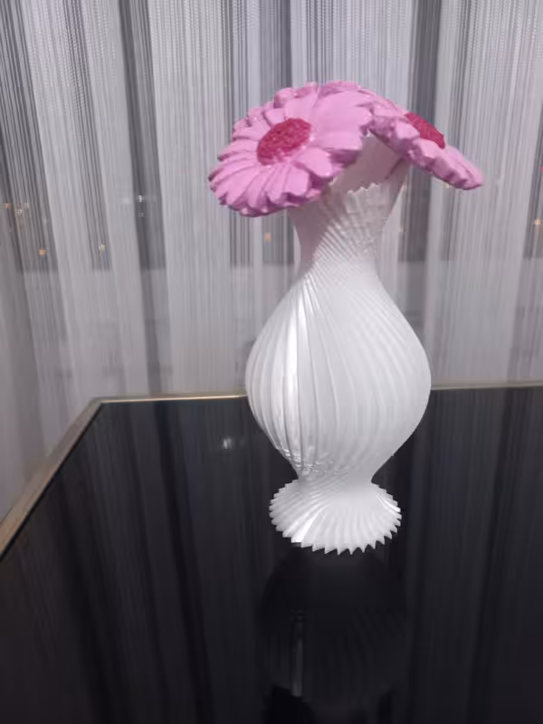 Vase - Beauty to your home and workplace-3D Printed